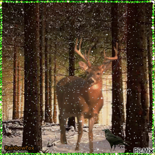 Deer forest - Nemokamas animacinis gif