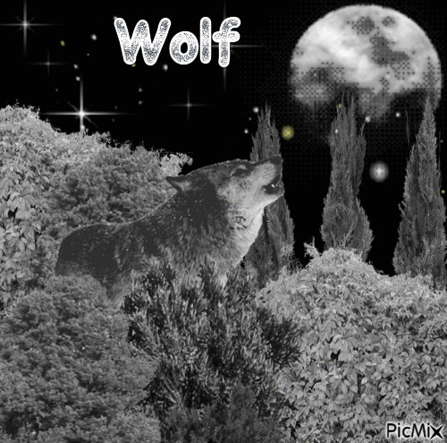wolf moon - GIF animasi gratis