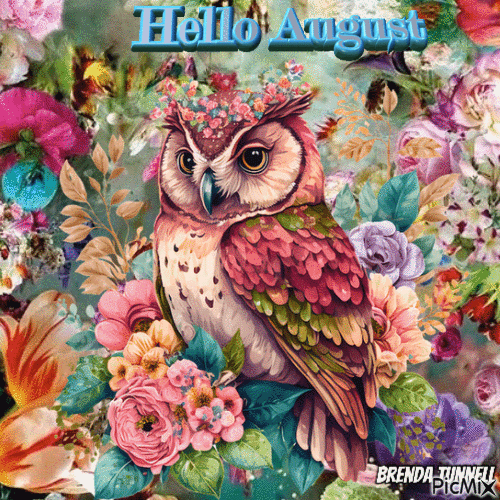 August owl - Gratis animeret GIF