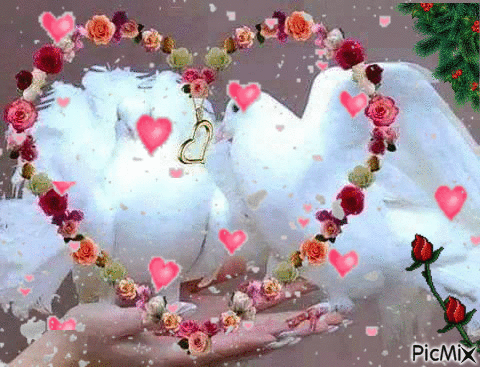 гълъб сърце - Ingyenes animált GIF