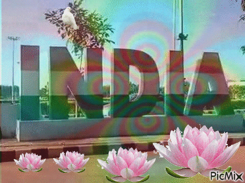 india - GIF animado grátis