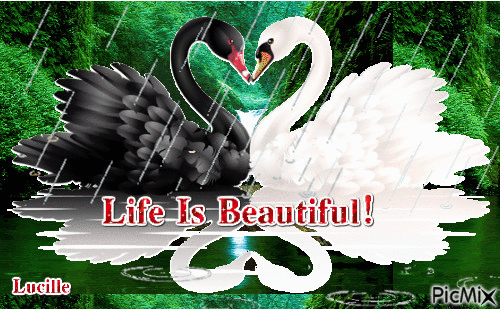 Life Is Beautiful - Бесплатный анимированный гифка