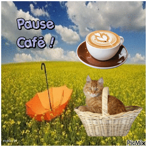 pause café - Ingyenes animált GIF