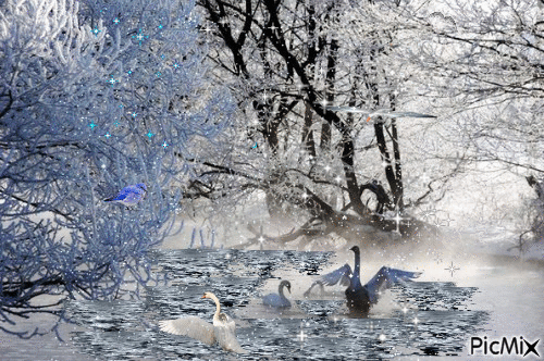 лебединое озеро - Nemokamas animacinis gif