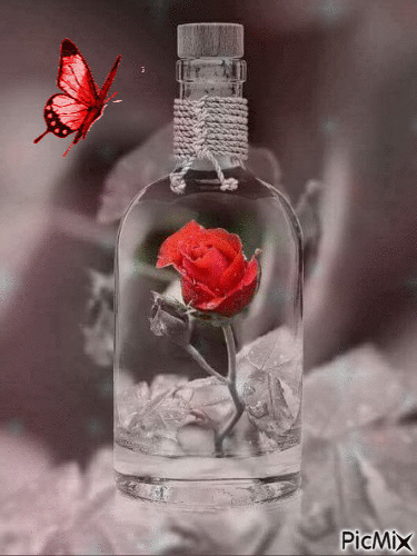 rose et papillon - Gratis animerad GIF