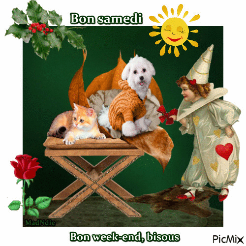 bon samedi, bon week-end - Бесплатный анимированный гифка