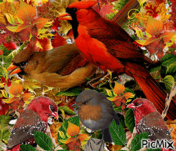 FALL LEAVES, RED, GOLD,ORANGE, AND BROWN BIRDS AND SOME SPARKLES. - GIF animé gratuit