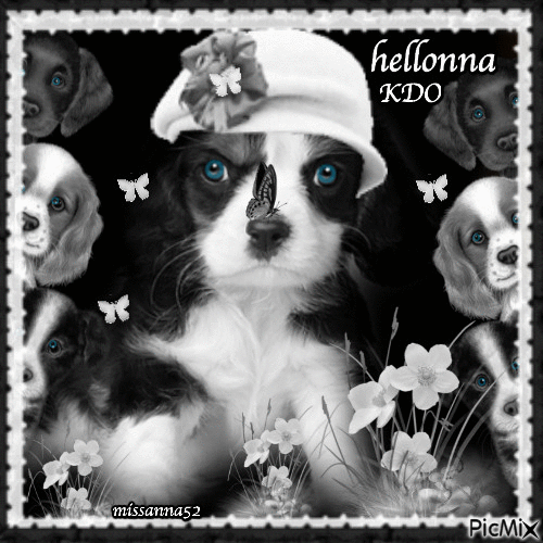 KDO pour toi Hellonna ,, - 無料のアニメーション GIF