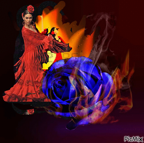 flamenco - GIF animé gratuit