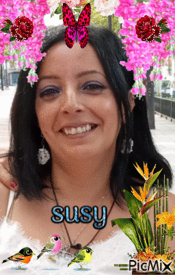 susy - Free animated GIF