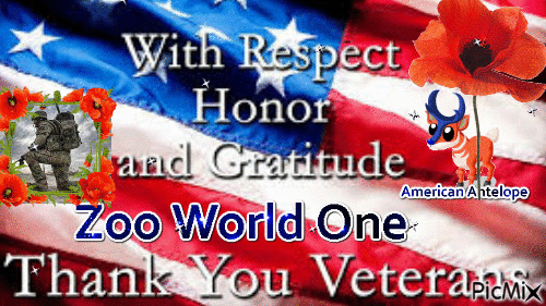 Veterans Day2 - Free animated GIF