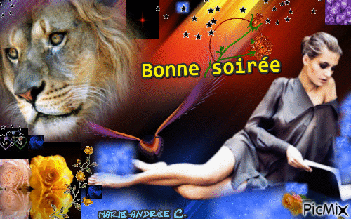 Image décos Soir/Nuit § Bonne soirée - GIF animate gratis