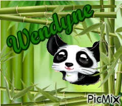 Panda alias Wendine - png grátis