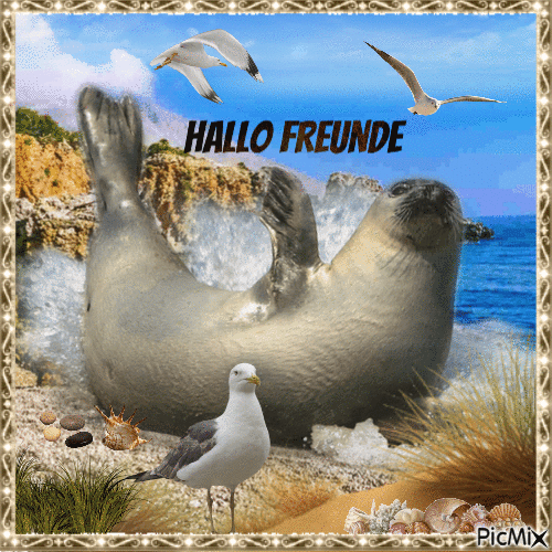 Hallo Freunde - GIF animado gratis