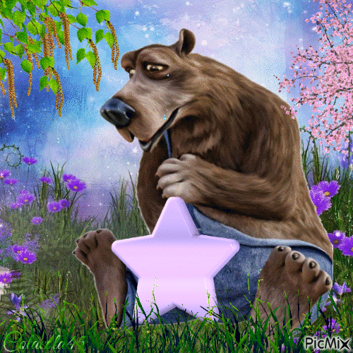 medvěd - GIF animate gratis