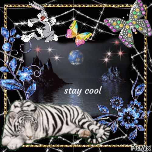 Stay cool - Free animated GIF