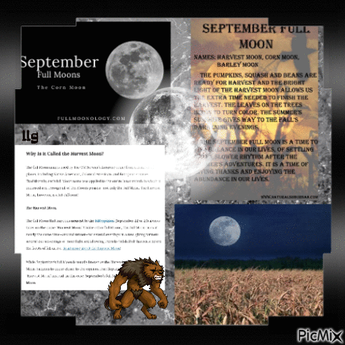 September full moon - GIF เคลื่อนไหวฟรี
