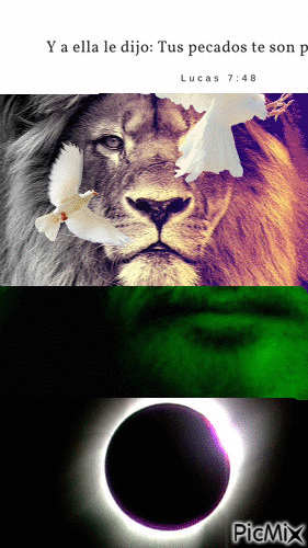 Collage - Δωρεάν κινούμενο GIF