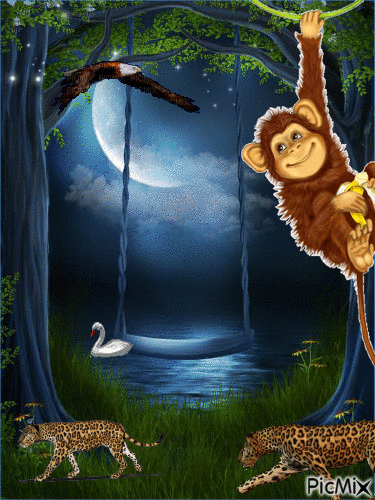 Friedliche Tiere bei Nacht <3 - Gratis animerad GIF