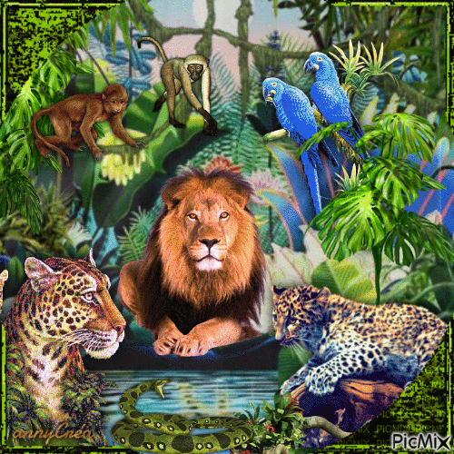 Jungle - GIF animado grátis