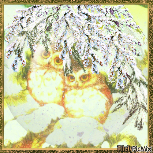 owls in the snow - Gratis geanimeerde GIF