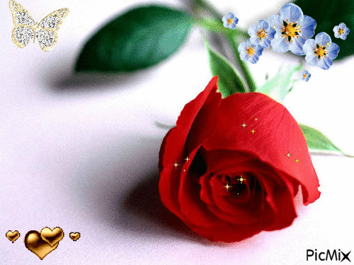 rose rouge scintillante - GIF animado gratis