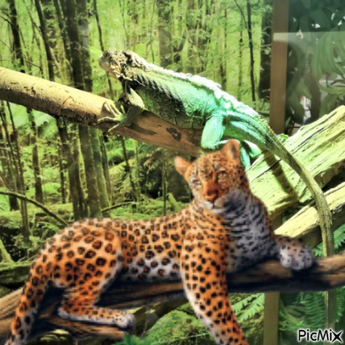Iguane en compagnie de léopards - darmowe png