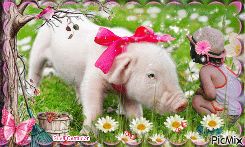 Porco - GIF animado grátis