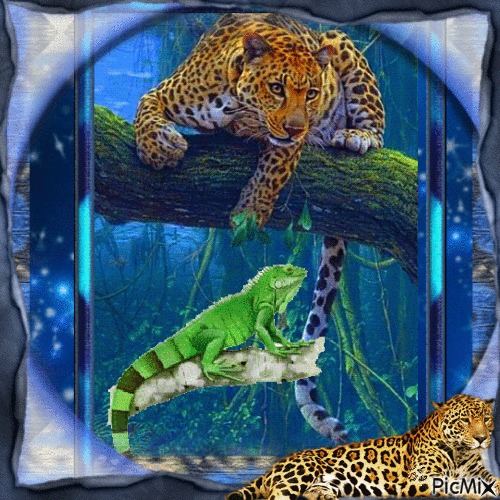 Iguana y leopardos - Gratis animerad GIF