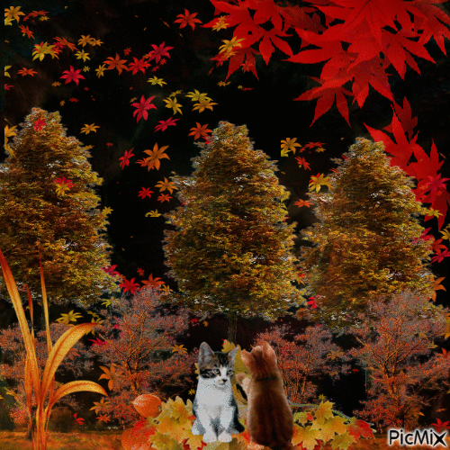 Outono - GIF animado grátis