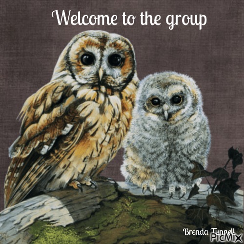 welcome owl - 無料png