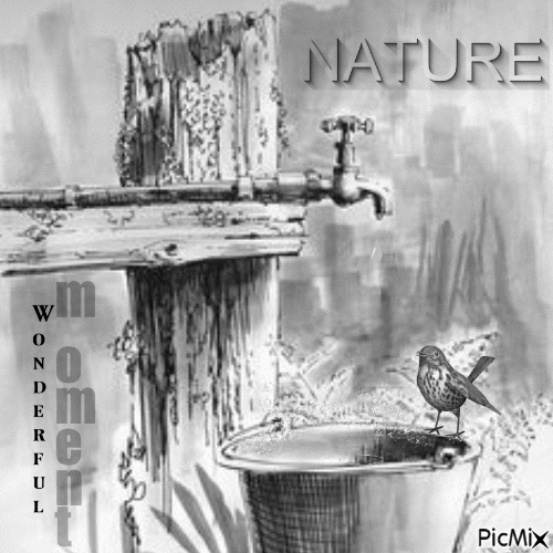 Nature - Бесплатный анимированный гифка