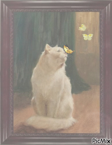 chat beige avec papillon - GIF animé gratuit
