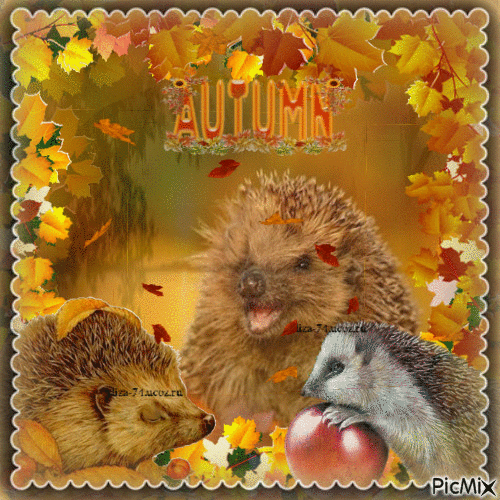 Automne Herbst autumn - Δωρεάν κινούμενο GIF