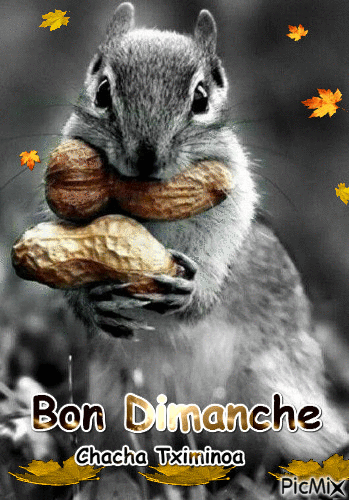 Bon Dimanche - Ingyenes animált GIF