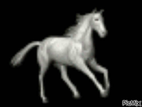 horse - GIF animate gratis