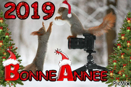 BONNE ANN2E - GIF animado gratis
