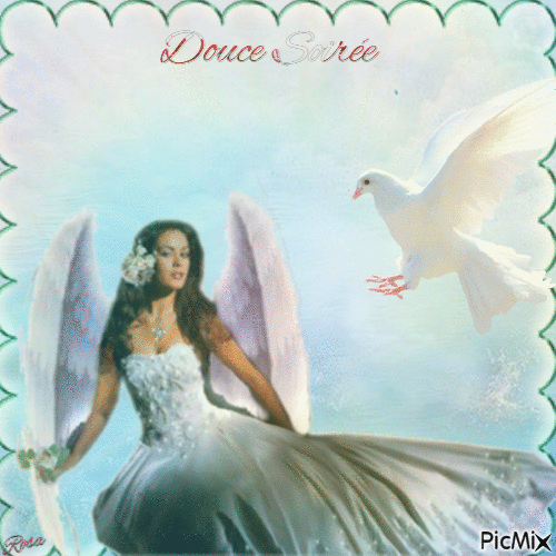 Concours : Un ange et une colombe - Ingyenes animált GIF