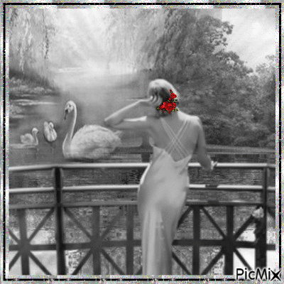 the lady and swan - Ücretsiz animasyonlu GIF