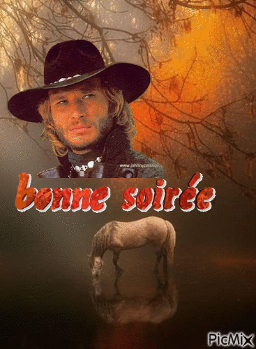 BONNE  SOIREE - GIF animé gratuit