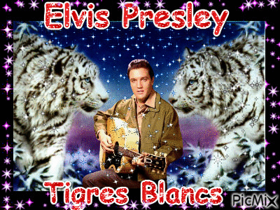 Elvis Presley et Tigres Blancs - 免费动画 GIF