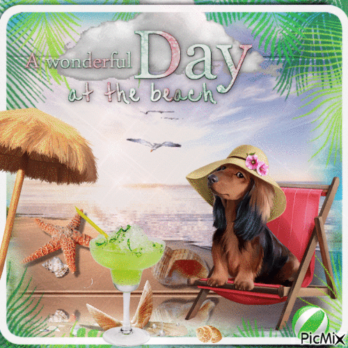 Wonderful Day at the Beach - GIF animado gratis
