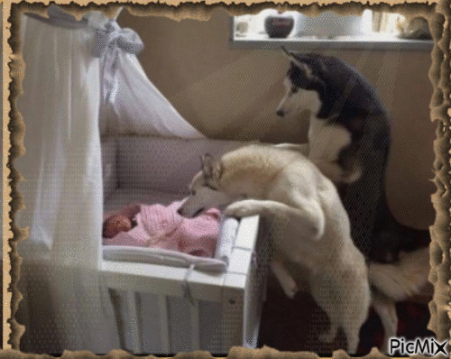 The baby of the family - Free animated GIF