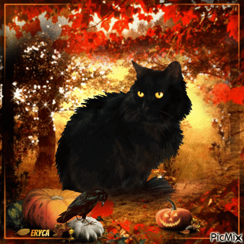 Le chat noir - GIF animado gratis