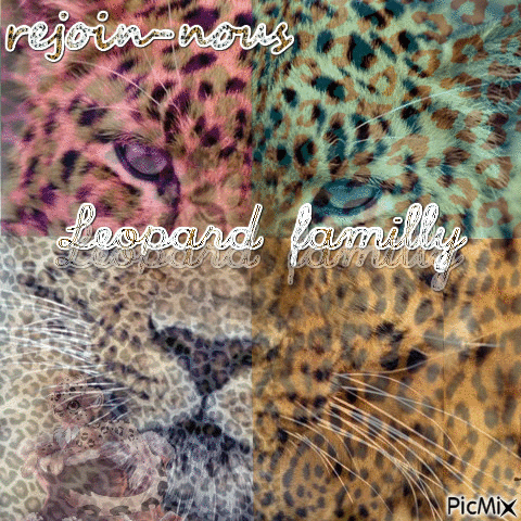 leopard familly - Бесплатный анимированный гифка
