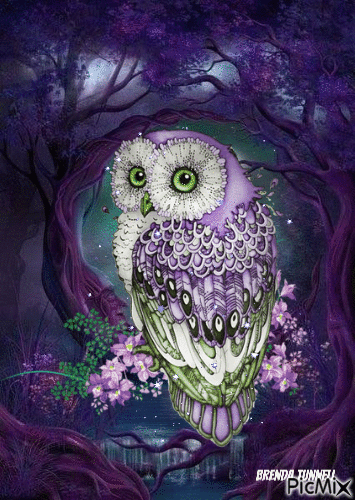 owl - Бесплатный анимированный гифка