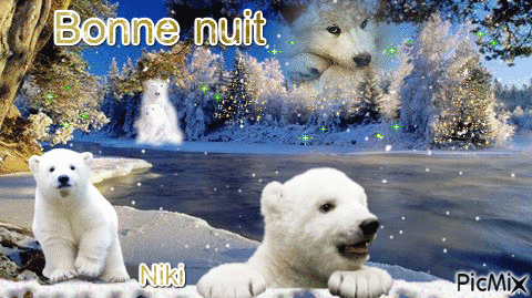 Laponie9 Bonne nuit - GIF animate gratis