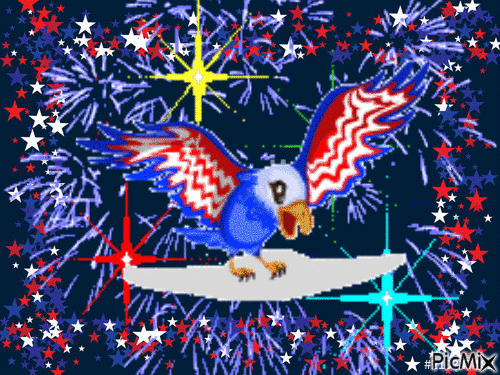 American Bald Eagle - GIF animate gratis