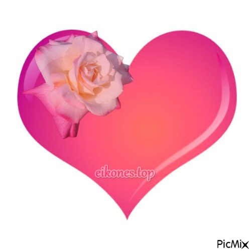 heart and roze - ücretsiz png