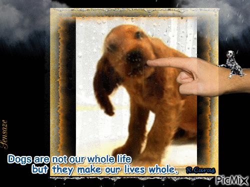 Doggie love. - Free animated GIF